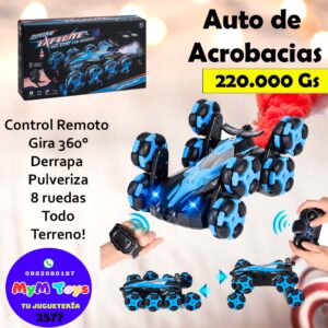Auto de Acrobacias